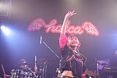 「＜ライブレポート＞halcaが1年ぶりフルバンド編成ライブ、フロアを熱狂の渦に」1枚目/6