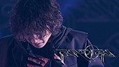「Aile The Shota、新曲「NEBULA」ライブ映像を公開」1枚目/3