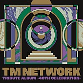 「【ビルボード】TM NETWORK40周年記念作がDLアルバム首位、トップ10に8作が初登場」1枚目/2