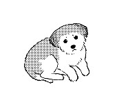 「桐島由紀近影（C）桐島由紀／集英社」4枚目/7