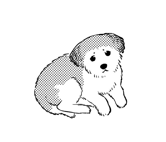 「桐島由紀近影（C）桐島由紀／集英社」4枚目/7