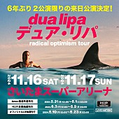 「デュア・リパ、11月に来日公演2DAYS開催」1枚目/1