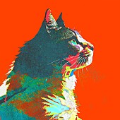 「Illustration by 米津玄師」6枚目/6