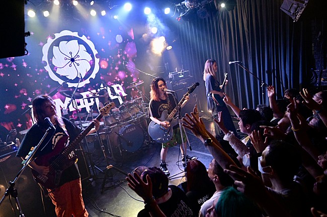 「NEMOPHILA、約5年ぶりとなるWildSideTokyo公演のレポート到着」1枚目/1