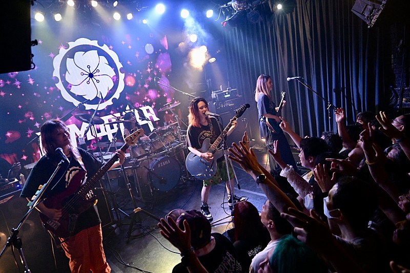 「NEMOPHILA、約5年ぶりとなるWildSideTokyo公演のレポート到着」1枚目/1