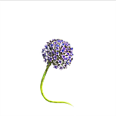 「美波、新曲「Good Morning」6/14より配信スタート決定」1枚目/2