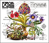 「ゆず アルバム『図鑑』」2枚目/2