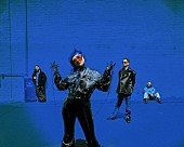 「 ハイエイタス・カイヨーテ、最新ALより新曲「Cinnamon Temple」解禁」1枚目/2