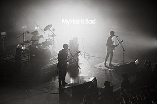 「クリープハイプのトリビュートアルバム、7組目の参加アーティストはMy Hair is Bad」