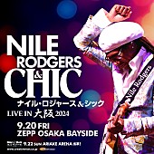 「ナイル・ロジャース＆シック、2024年9月に単独来日公演を開催」1枚目/1