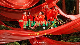 「C;ON、ワンマン公演のステージを“本気で売れたいアイドル”にお裾分け　特別企画【Lucky 7 Stage】」