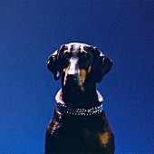 「オーヴァーモノ、新曲「Gem Lingo (ovr now)」公開」1枚目/2