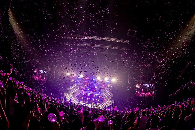 「Photo by Viola Kam (V’z Twinkle)」7枚目/8