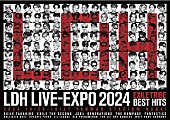 「EXILE TRIBE、【LDH LIVE-EXPO 2024-EXILE TRIBE BEST HITS-】開催決定」1枚目/1