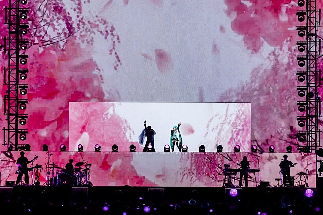 「Photo by Viola Kam (V’z Twinkle)」2枚目/7