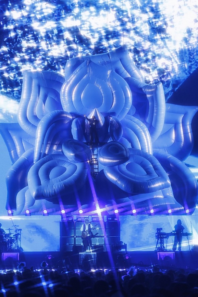 「Photo by Viola Kam (V’z Twinkle)」5枚目/7