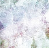 「通常盤」3枚目/4