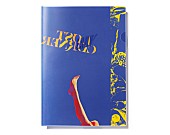 「米津玄師 アルバム『LOST CORNER』法人特典クリアファイル(A4）」14枚目/17