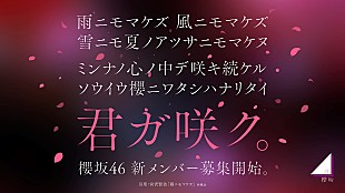 「櫻坂46、新メンバーオーディション開催決定　オーディションティザー映像も公開」