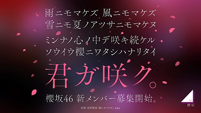 「櫻坂46、新メンバーオーディション開催決定　オーディションティザー映像も公開」1枚目/3