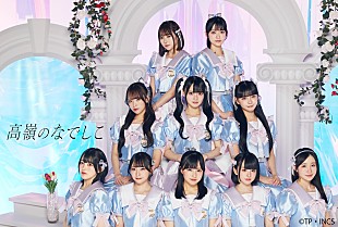 「高嶺のなでしこ、2ndシングルを12月にリリース　巨人対ヤクルト岐阜公式戦での試合前パフォーマンスも決定」