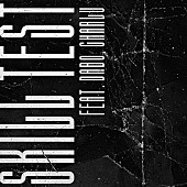 「Novel Core 配信シングル「SKILL TEST feat. DABO, Charlu」」4枚目/4