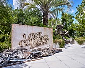 「【LOST CORNER AR LIVE in HARAKADO】」5枚目/30