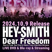 「HEY-SMITH、【Rest In Punk Tour】ファイナル沖縄公演のライブ映像発売決定」1枚目/2