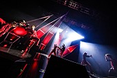 「【龍宮城 LIVE TOUR「ULTRA SEAFOOD」】」2枚目/4