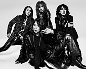 「THE YELLOW MONKEY、4月に開催された”歴史に残る”東京ドーム公演を映像化」1枚目/4