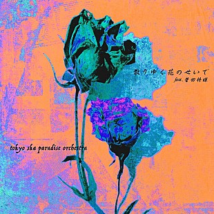 「スカパラ×菅田将暉、コラボ曲「散りゆく花のせいで」ジャケット写真＆MVティザー公開」