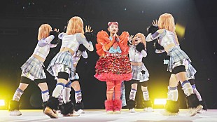 「水曜日のカンパネラ、最新ライブ映像作品より「聖徳太子」の映像公開＆発売記念イベント開催決定」