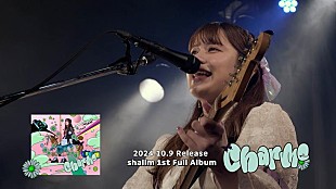 「shallm、1stフルAL『charme』初回限定盤DVDのライブダイジェスト映像公開」