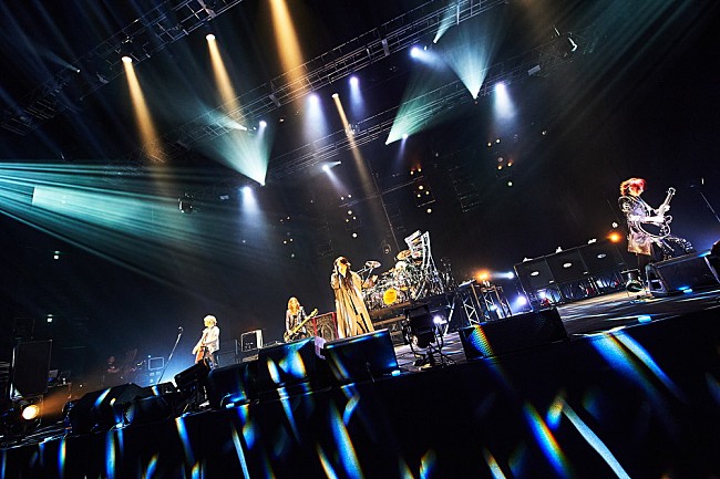 「Photo：田辺佳子」11枚目/15