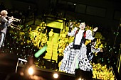 「DREAMS COME TRUE、8年ぶり開催【ウラワン】で見せたドリカムのライブバンドとしての真価」1枚目/3