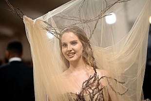 「ラナ・デル・レイ、恋人のツアー船長との結婚許可証を取得」