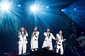 「＜ライブレポート＞A.B.C-Z、新体制後初のツアー【A.B.C-Z Concert Tour 2024 F.O.R】開催　「F.O.Rし合う関係性をこれからも大事にしていきたい」」1枚目/3