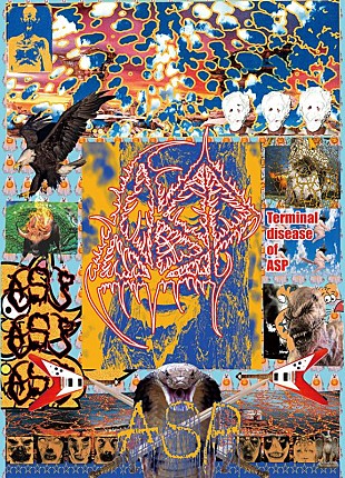 「ASP、メジャー1stAL『Terminal disease of ASP』発売」