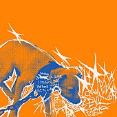 「DYGLが新EP『Cut the Collar』をリリース、ツアー会場でLP先行販売へ」1枚目/2