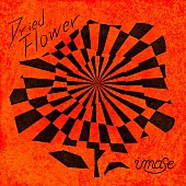 「imase 配信シングル「Dried Flower」」2枚目/2