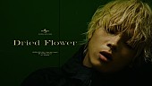 「imase、 新曲「Dried Flower」配信＆MV公開」1枚目/3