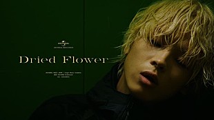 「imase、 新曲「Dried Flower」配信＆MV公開」