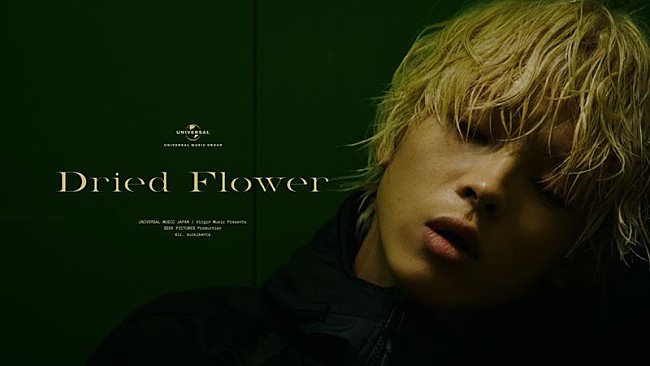 「imase、 新曲「Dried Flower」配信＆MV公開」1枚目/3