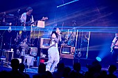 「＜ライブレポート＞eill、会場を温かな空間に彩った【BLUE ROSE TOUR 2024】――ファイナル公演で見せた“最高のフィナーレ” 」1枚目/16