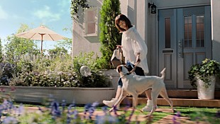 「The Biscatsによる「時の流れに身をまかせ」カバー、高岡早紀出演TVCMソングとして11月から放映へ」