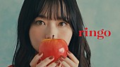 「秦 基博×草野マサムネのコラボ曲「ringo」MV、山田杏奈が出演」1枚目/3