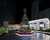 「クリスマスツリー 」4枚目/5