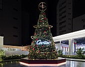 「クリスマスツリー 」5枚目/5