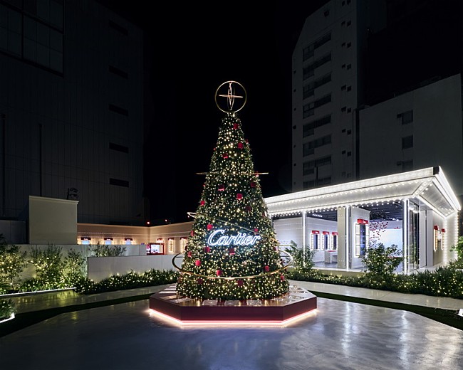 「クリスマスツリー 」4枚目/5