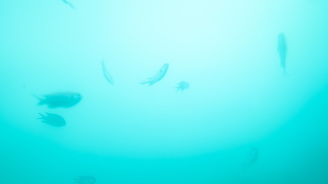 「「いまここ」映像作品『HERE AND NOW』サムネイル」2枚目/4